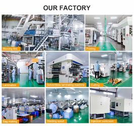 الصين DONGGUAN SEALAND PACKAGING BAG CO., LTD مصنع
