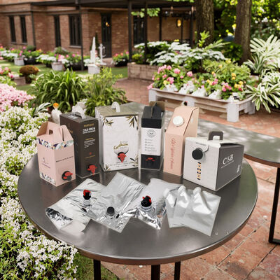 أكياس BIB مخصصة في مربع يحتوي على ملحقات Tap Spout مثالية لتعبئة زيت عصير النبيذ وغيرها من المنتجات السائلة