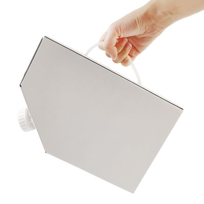 1L 3L 5L كرافت ورق صندوق القهوة BIB كيس في صندوق القهوة كيس القهوة المستخدمة مرة واحدة في صندوق مع صمام موزع السوائل