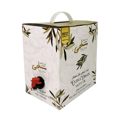 Convenient BIB bags in Box With Spout for Easy Dispensing and Customization